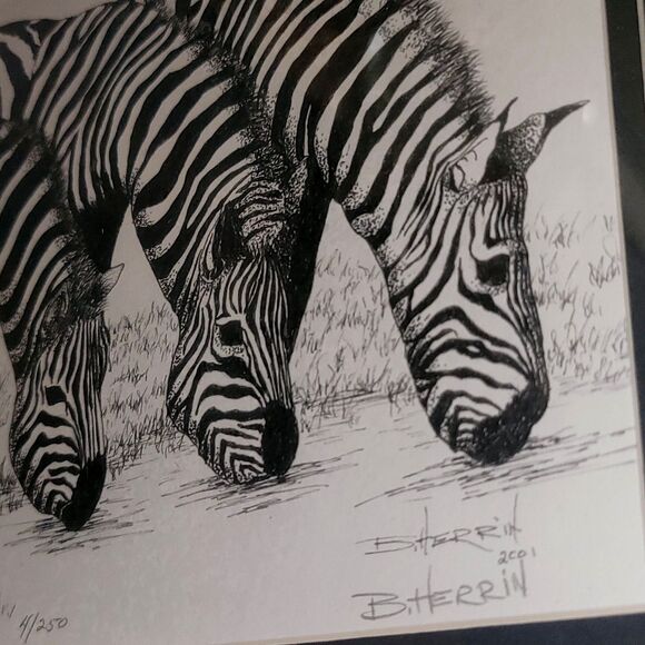 Original Lithograph in Pen & Ink, Zebras Drinking Signed Limited Edition #4/250 - Picture 9 of 16
